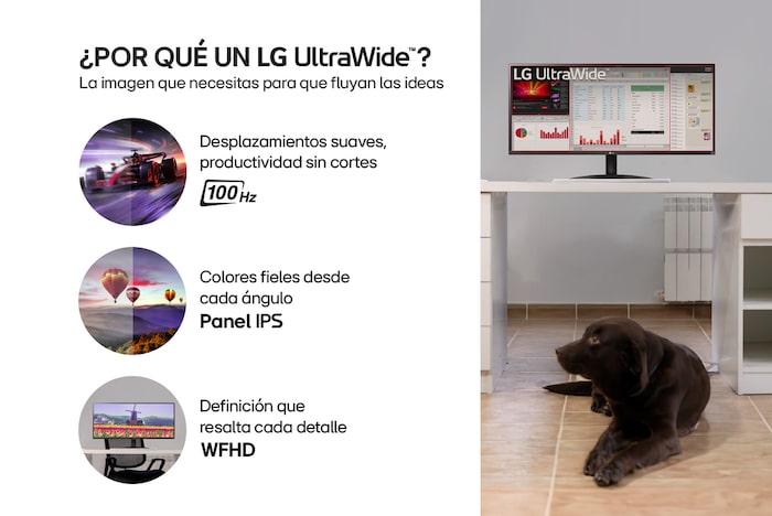 Porque Monitor LG UltraWide 29" WFHD 100Hz